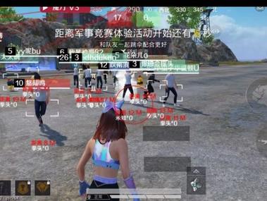 火焰鸟直装下载 - 和平精英热门科技辅助版本